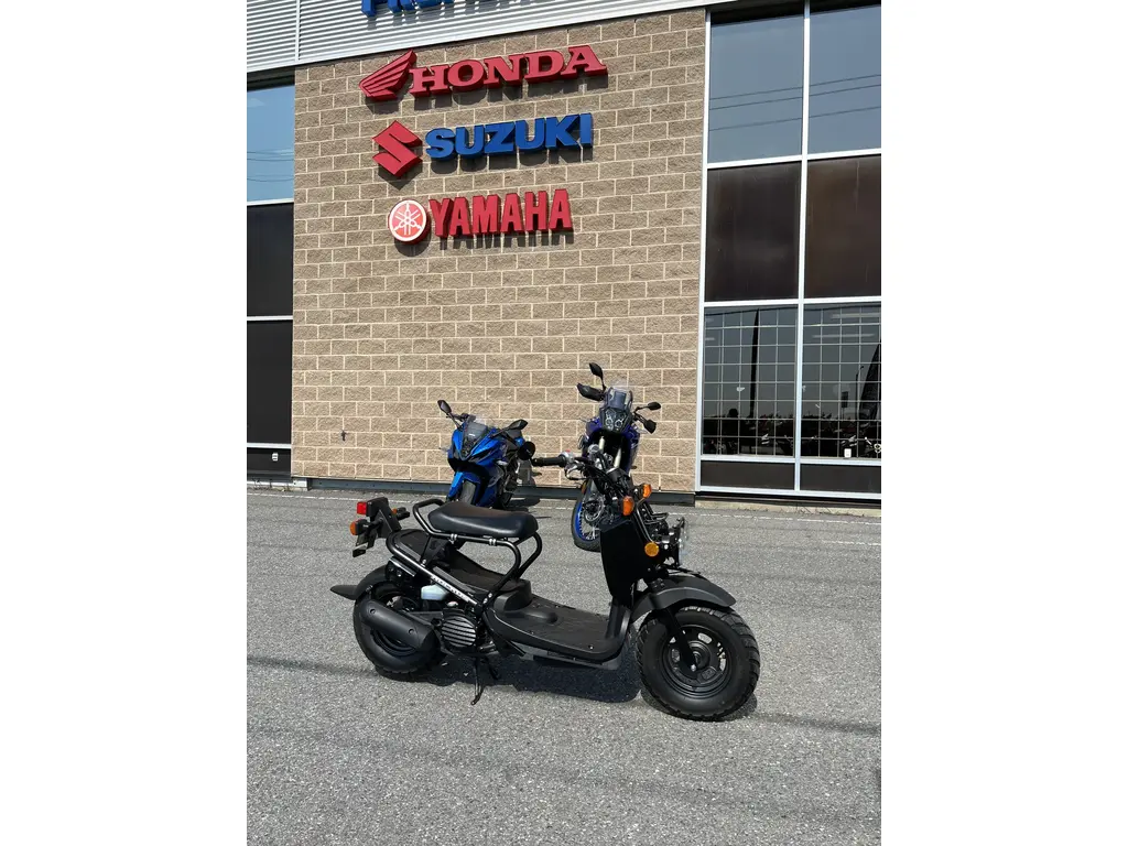 2024 Honda Ruckus Ruckus NPS 50