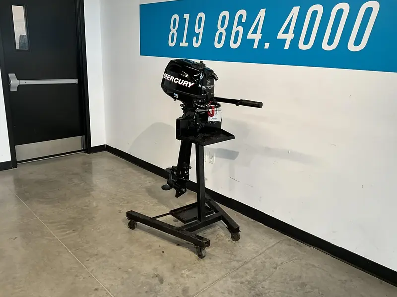 Mercury 6 HP Pied long 2011