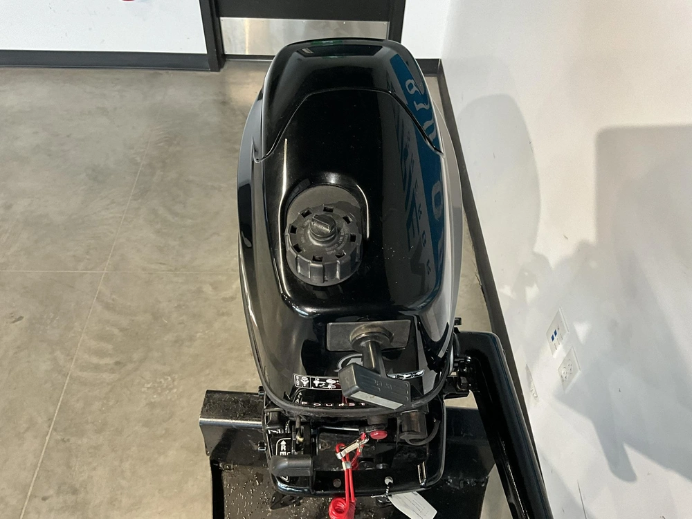 Mercury 6 Hp Pied Long 2011 alt