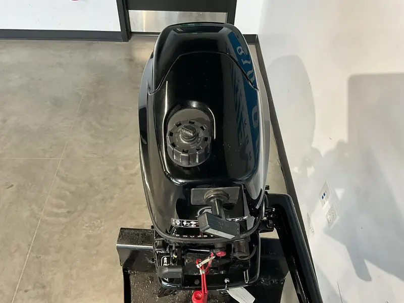 Mercury 6 HP Pied long 2011