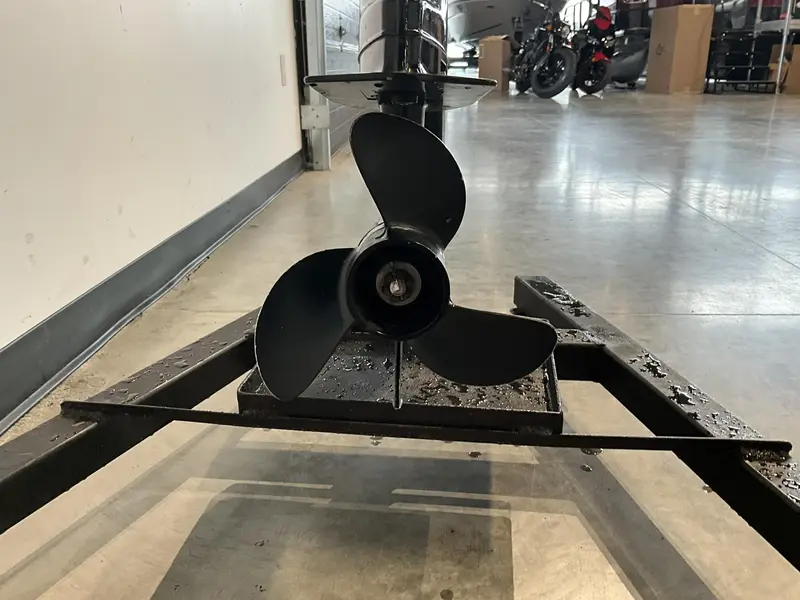 Mercury 6 HP Pied long 2011