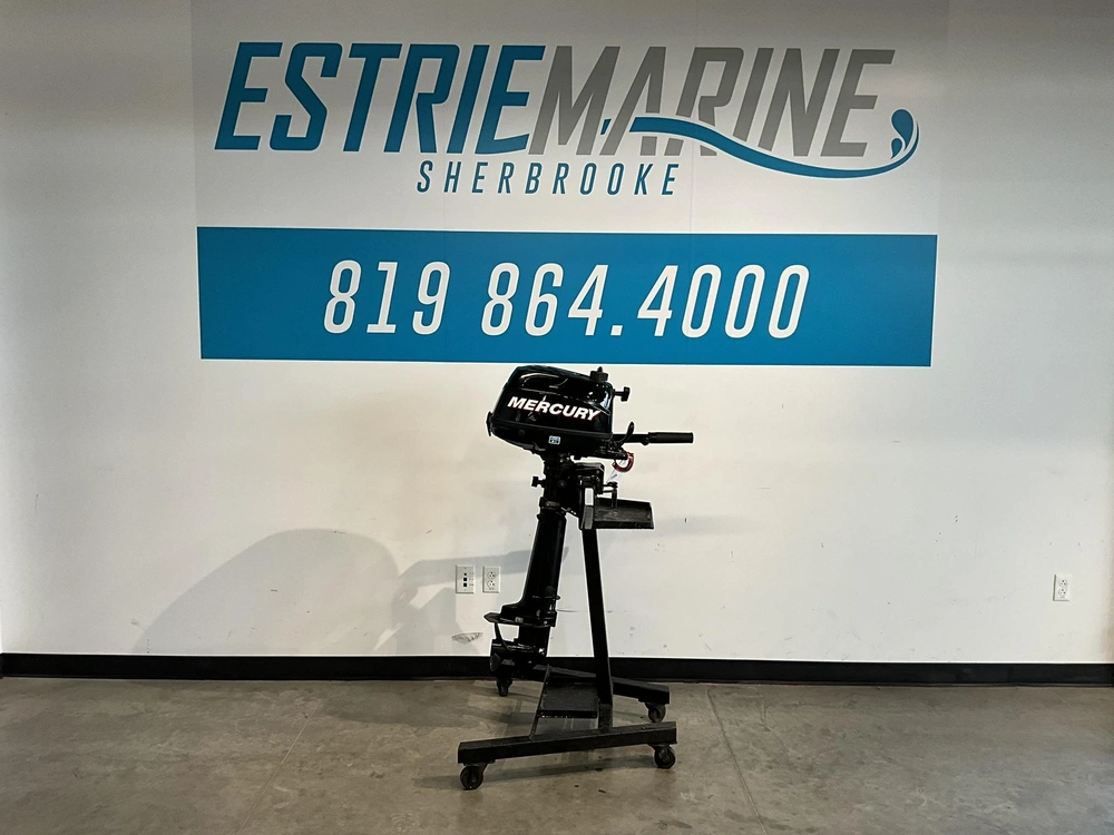 Mercury 6 Hp Pied Long 2011 alt