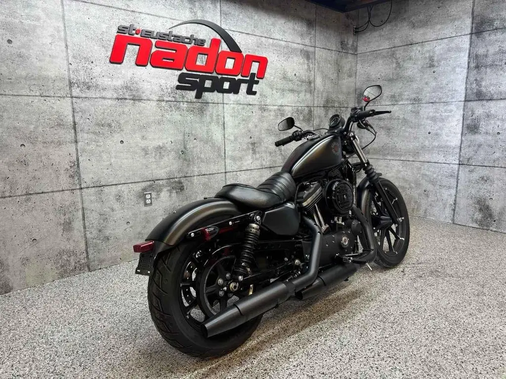 2019 Harley-Davidson XL883N IRON 883