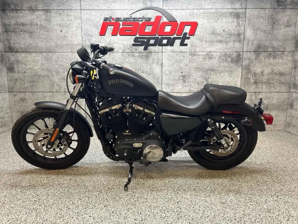 Harley-Davidson XL883N IRON 883 2014