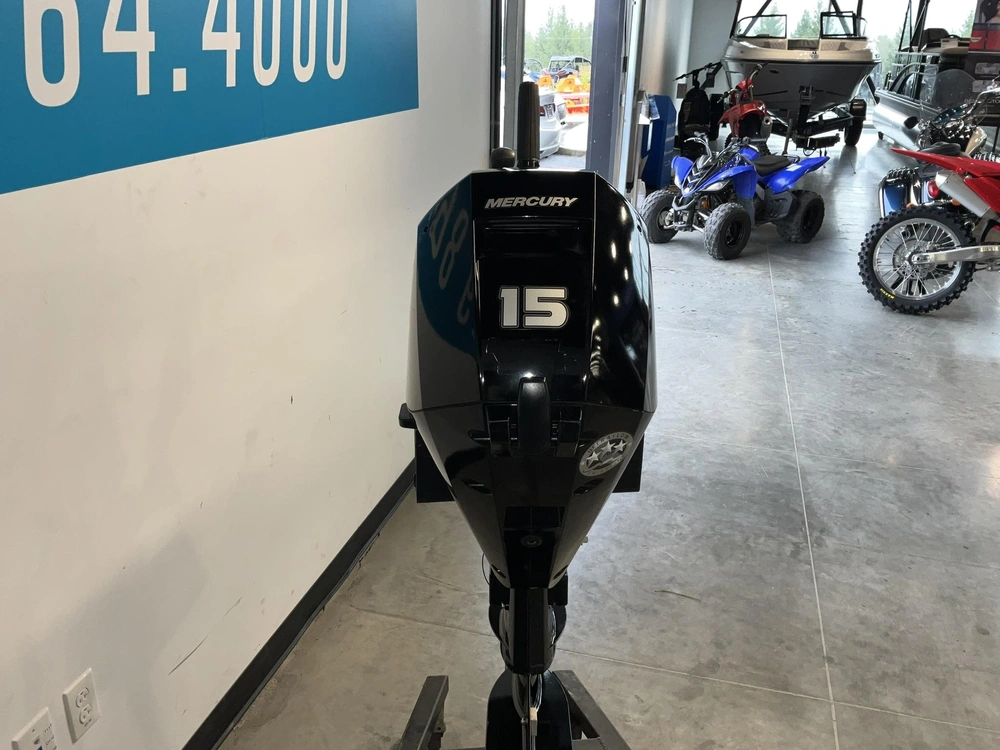 Mercury 1a15201bk 2020 alt