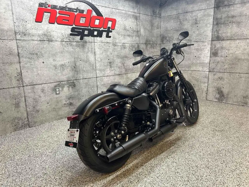 2019 Harley-Davidson XL883N IRON 883