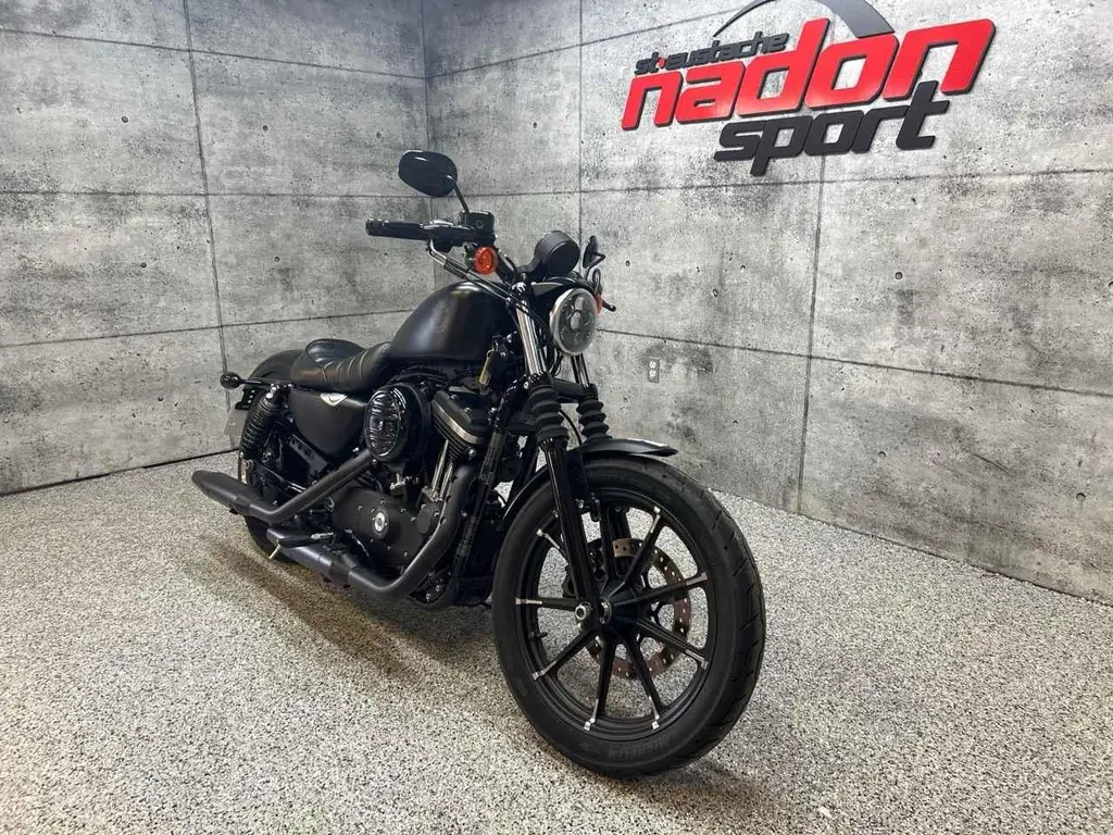 2019 Harley-Davidson XL883N IRON 883