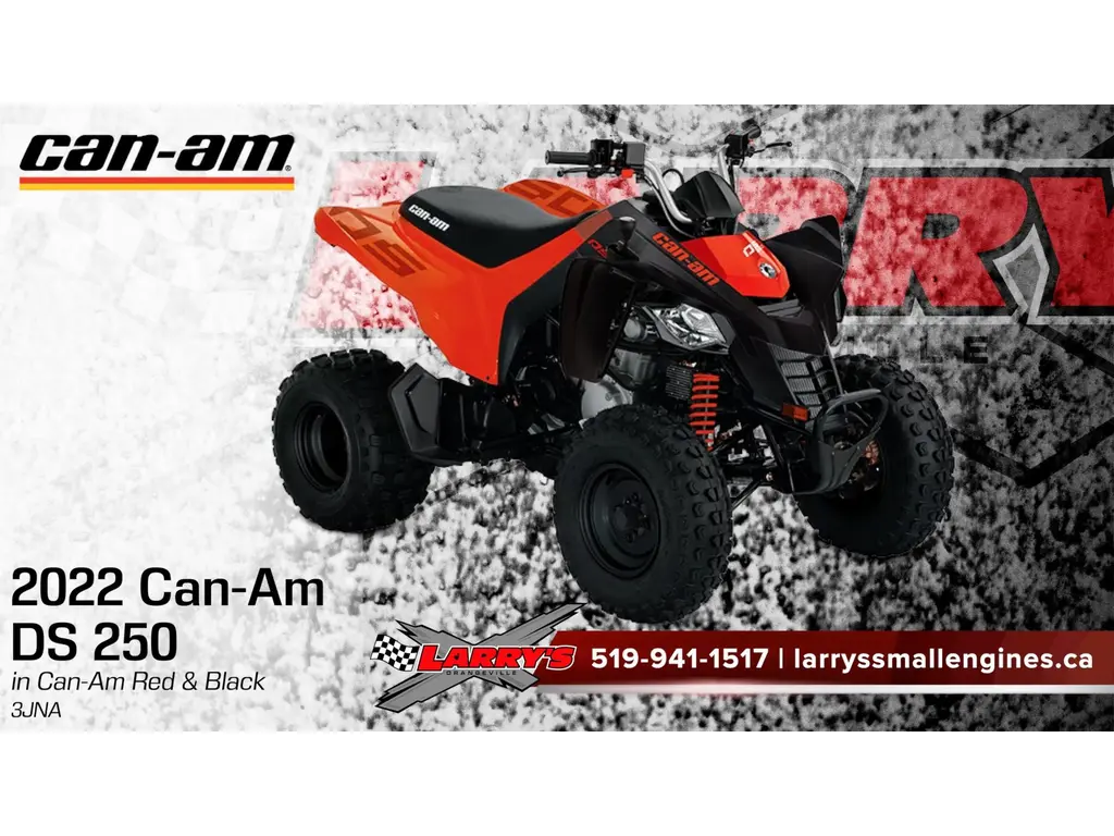 2022 Can-Am DS 250 3JNA