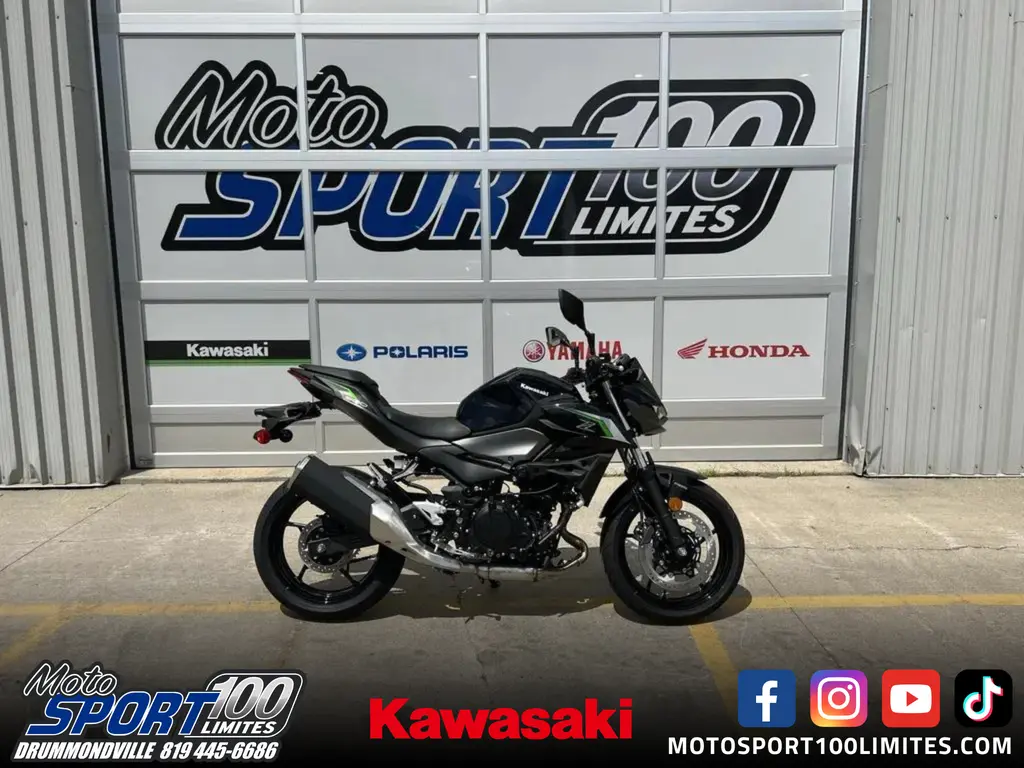 Kawasaki Z 500 - Z500  2024