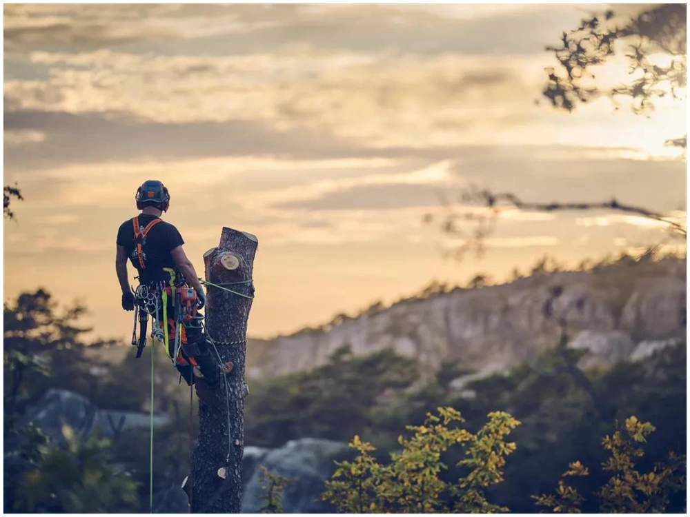 2024 Husqvarna T540 Xp Mark Iii alt