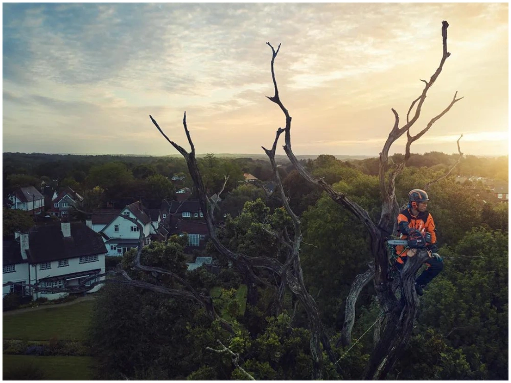 2023 Husqvarna T540i Xp 16" alt