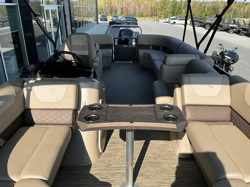 Bennington 22 SX Sterne Radius 2024