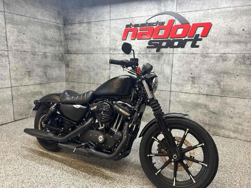 2019 Harley-Davidson XL883N IRON 883