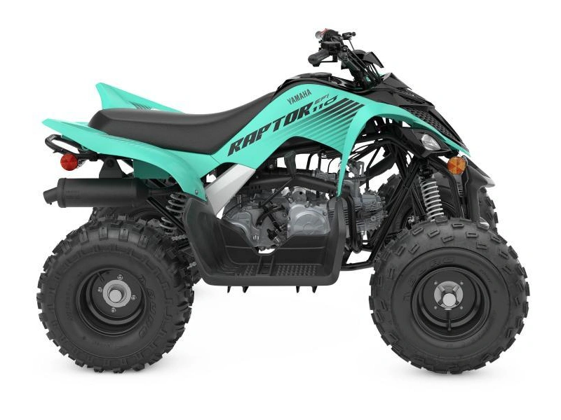 Yamaha Raptor 110 2024 alt