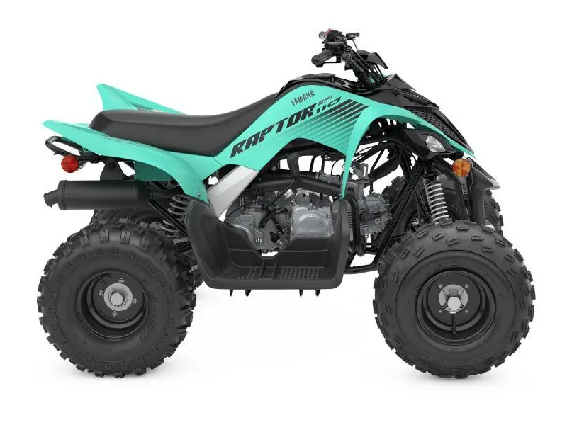 2024 Yamaha Raptor 110