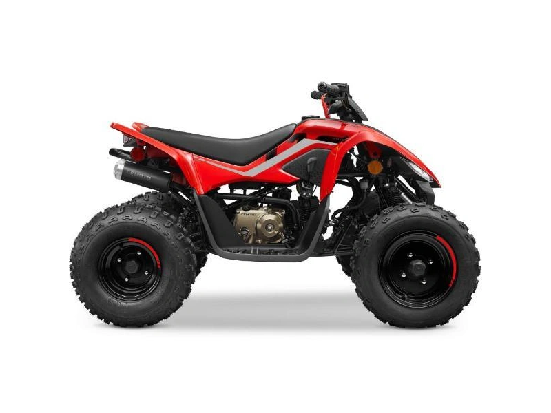 Cfmoto Cforce 110 2024 alt