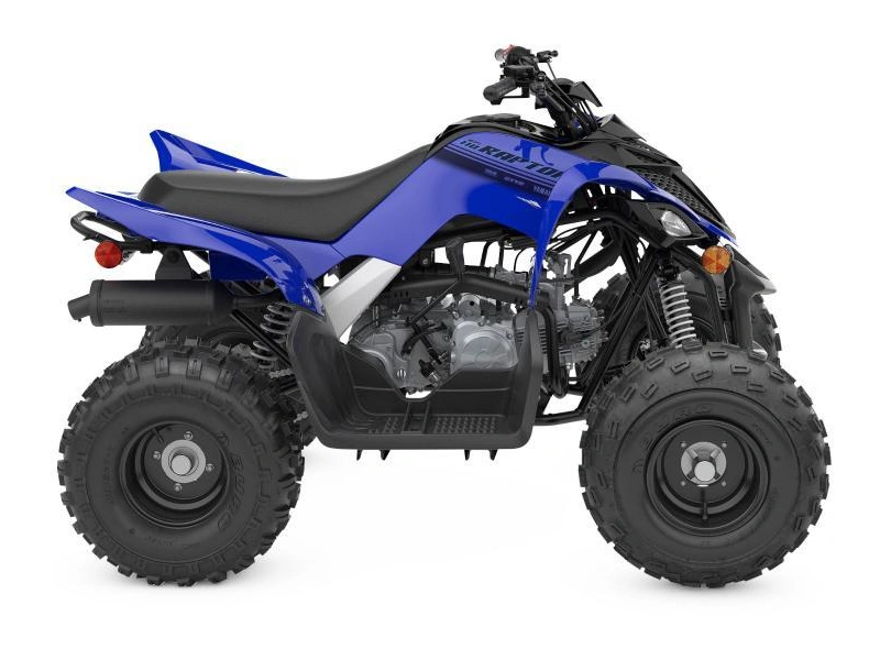 Yamaha Raptor 110 2024 alt