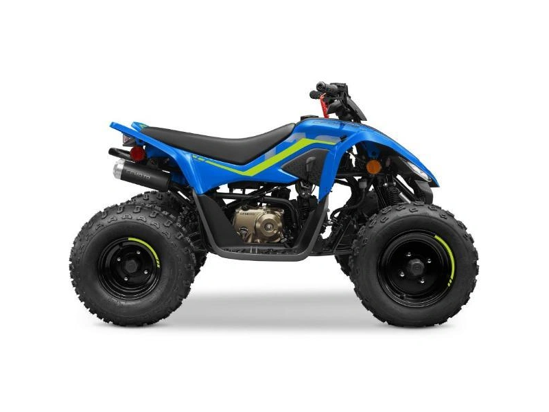 Cfmoto Cforce 110 2024 alt