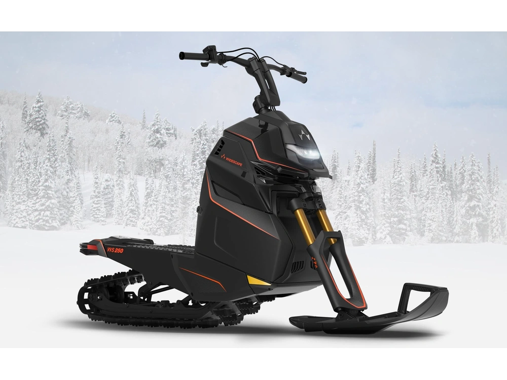 2023 Widescape Widescape 250 Efi alt