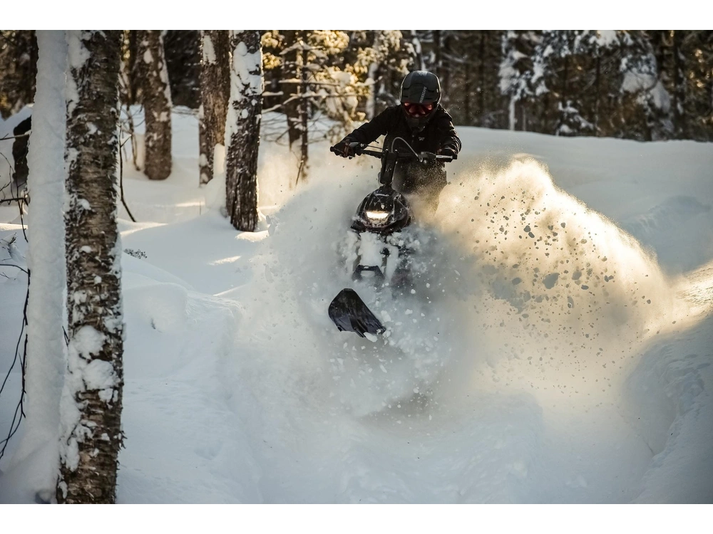 2024 Widescape Widescape 250 Efi alt