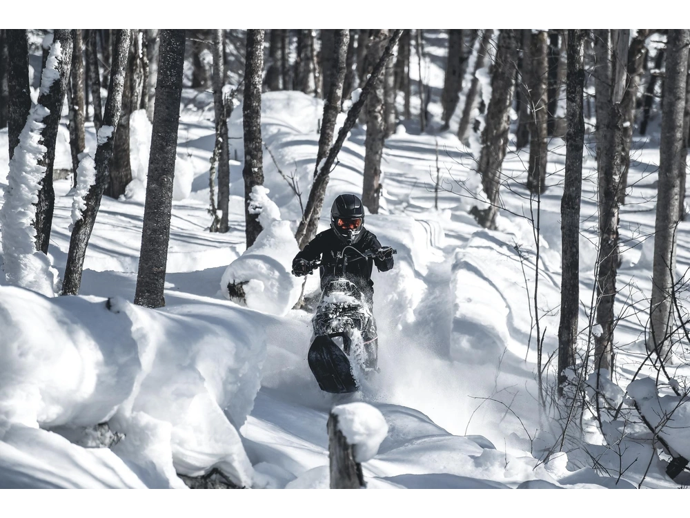 2023 Widescape Widescape 250 Efi alt