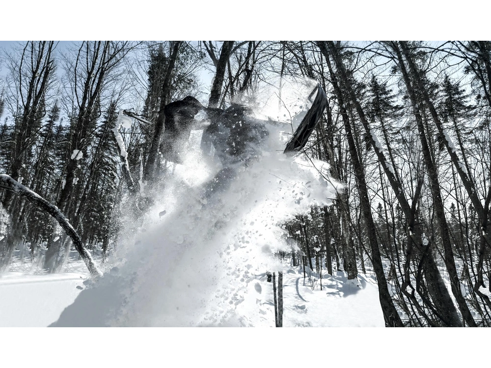 2023 Widescape Widescape 250 Efi alt