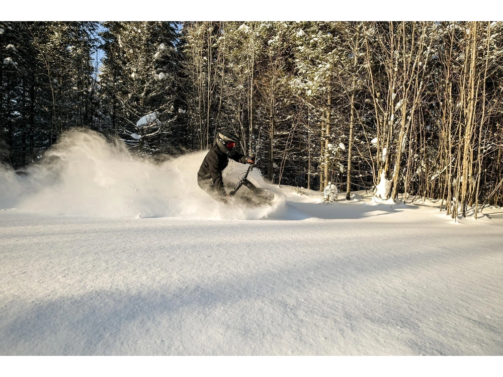 2024 Widescape Widescape 250 Efi alt