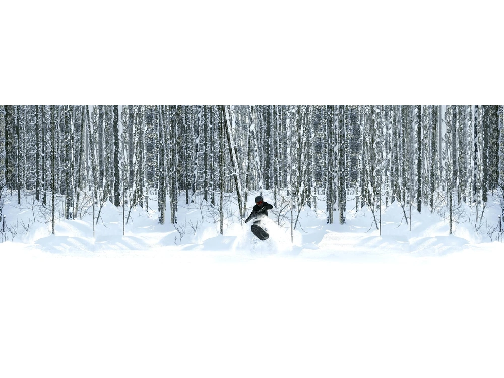 2023 Widescape Widescape 250 Efi alt