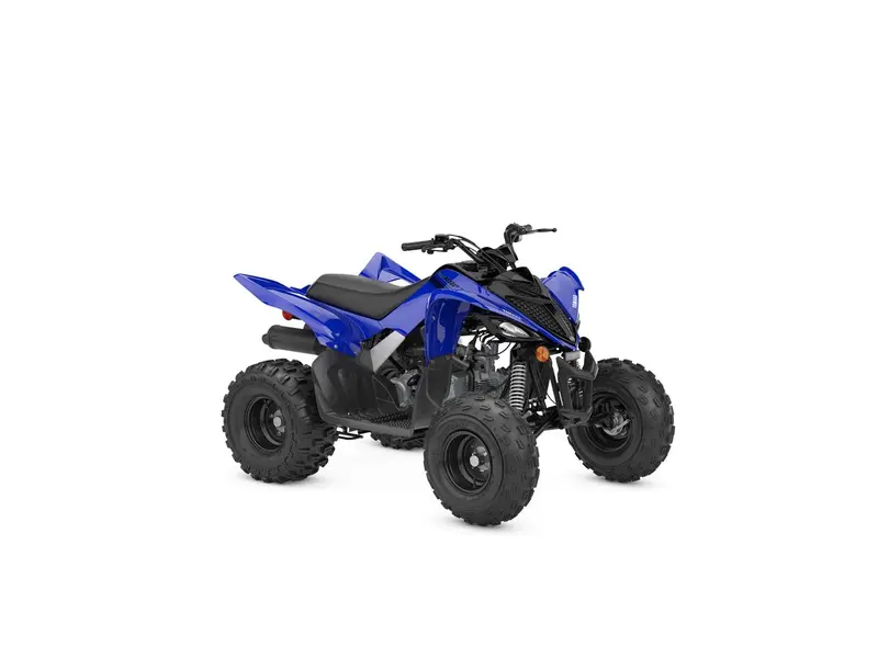 2025 Yamaha RAPTOR 110