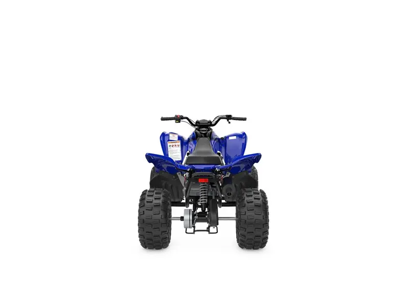2025 Yamaha RAPTOR 110