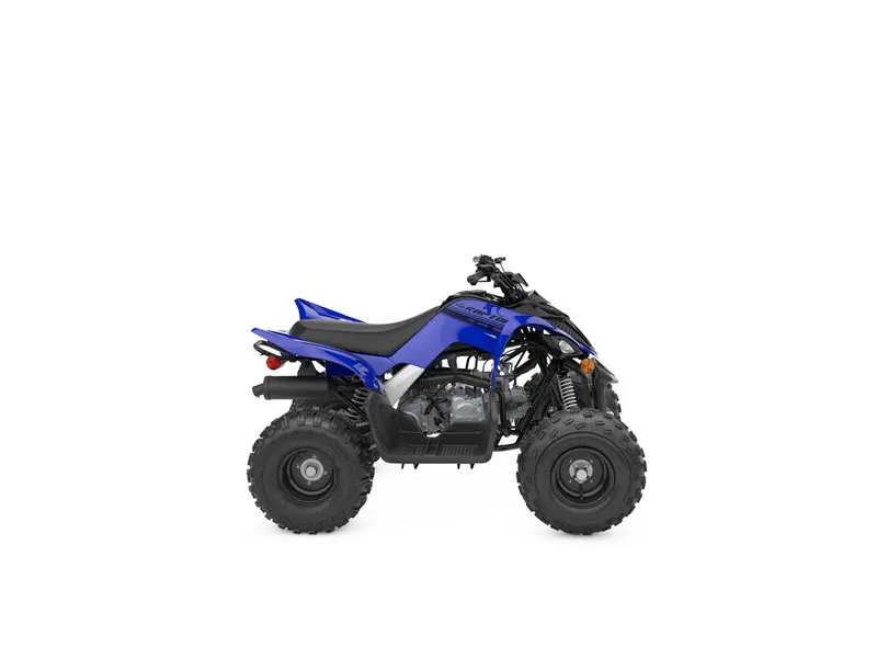 2025 Yamaha RAPTOR 110