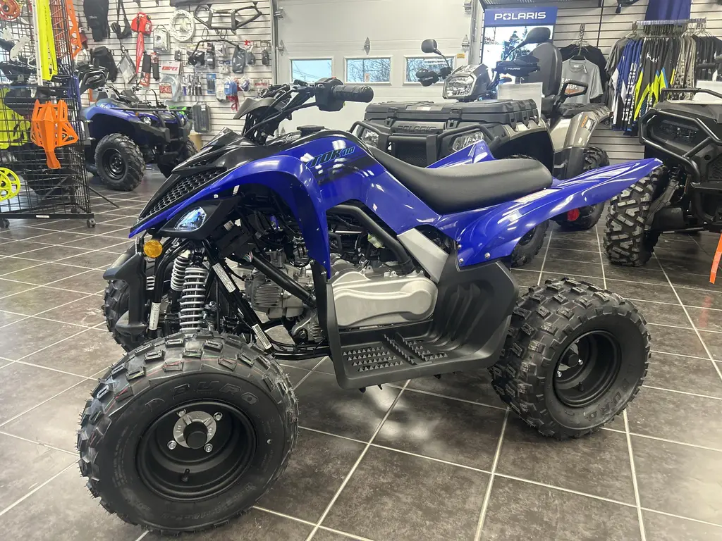 2025 Yamaha RAPTOR 110 - YF11RSL