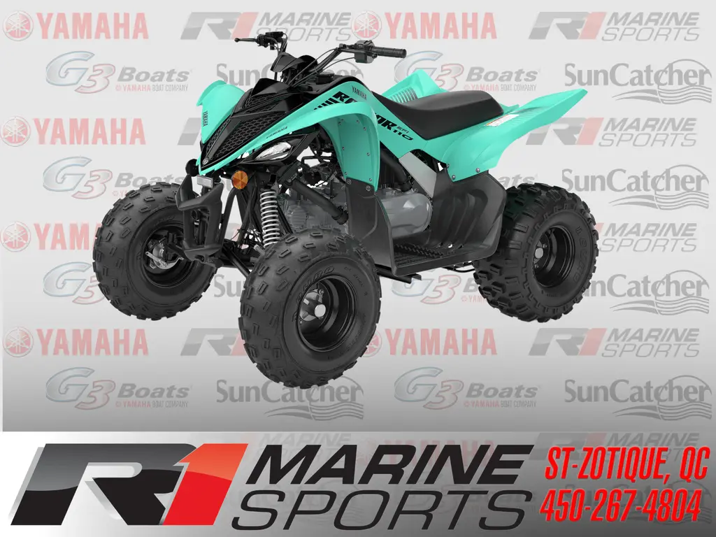 Yamaha RAPTOR 110 2025