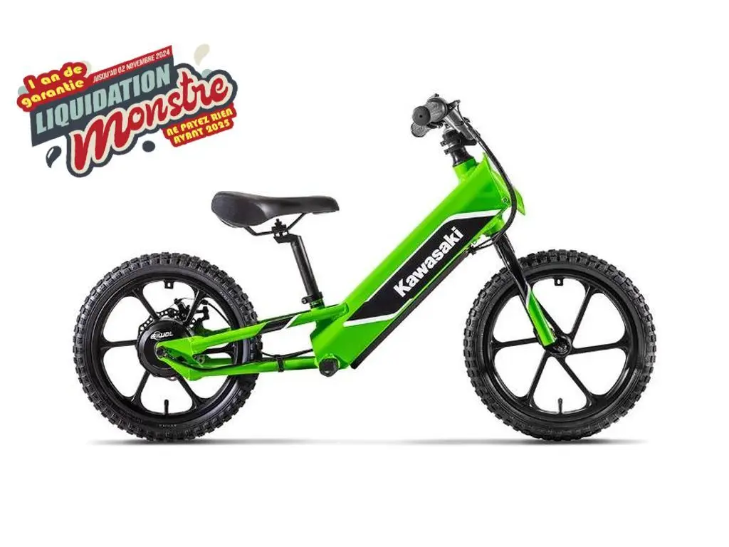 Kawasaki ELEKTRODE 2024