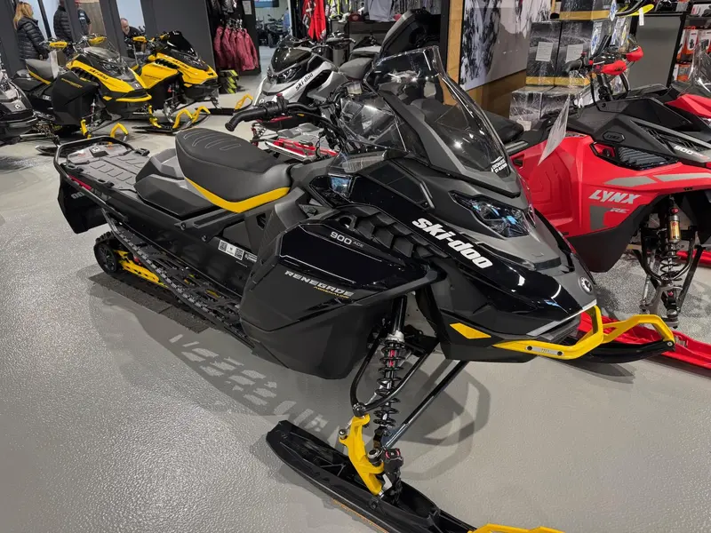2024 Ski-Doo RENEGADE ENDURO 900 ACE