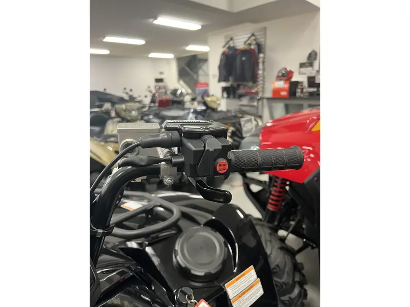 2025 Yamaha GRIZZLY EPS SE GRIZZLY EPS SE