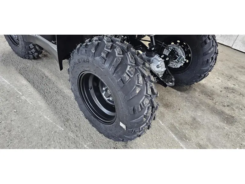 2025 Suzuki KINGQUAD 400 LTF400FM5