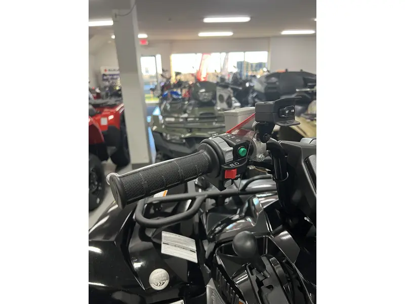 2025 Yamaha GRIZZLY EPS SE GRIZZLY EPS SE