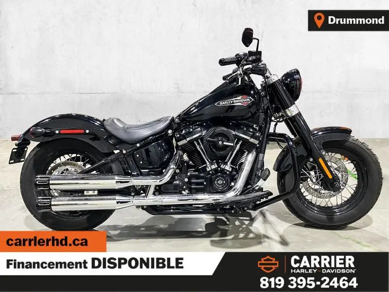 2019 Harley-Davidson SOFTAIL SLIM