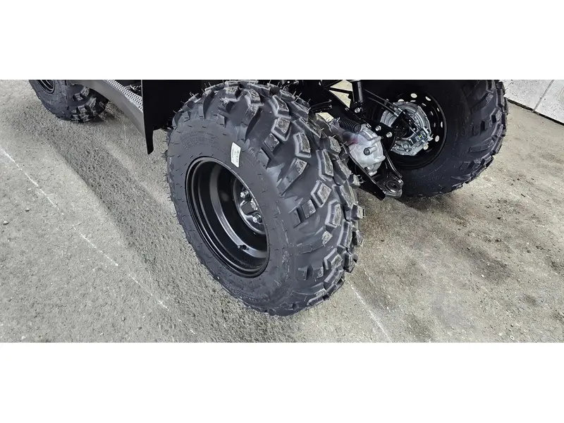 2025 Suzuki kingquad 400 LTA400FM5