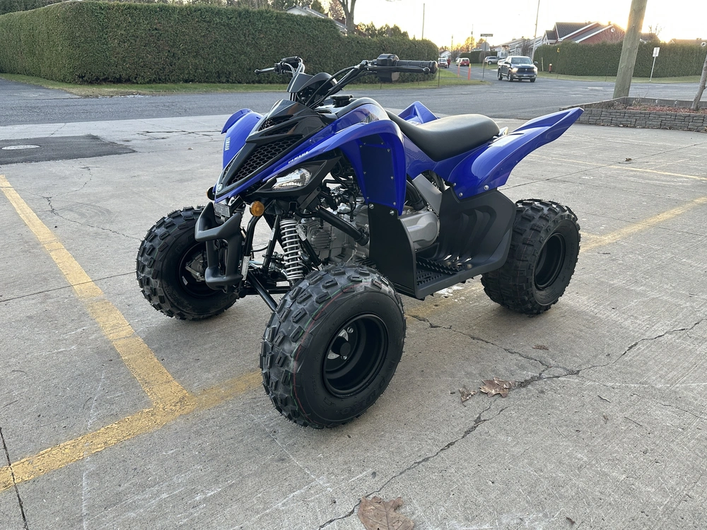 2025 Yamaha Raptor 110 alt
