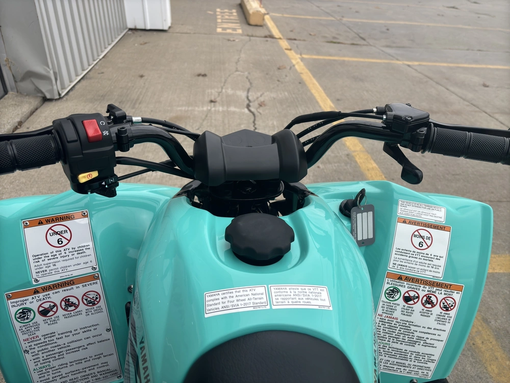 2025 Yamaha Yfz50 alt