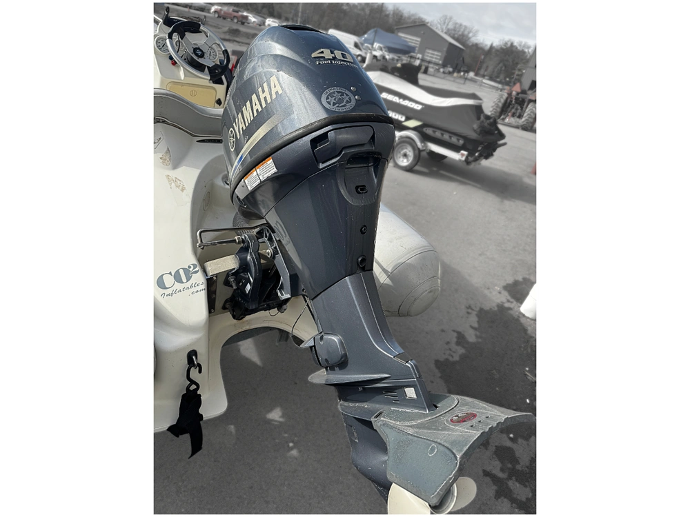 2008 Zodiac Yl340 Dlx alt