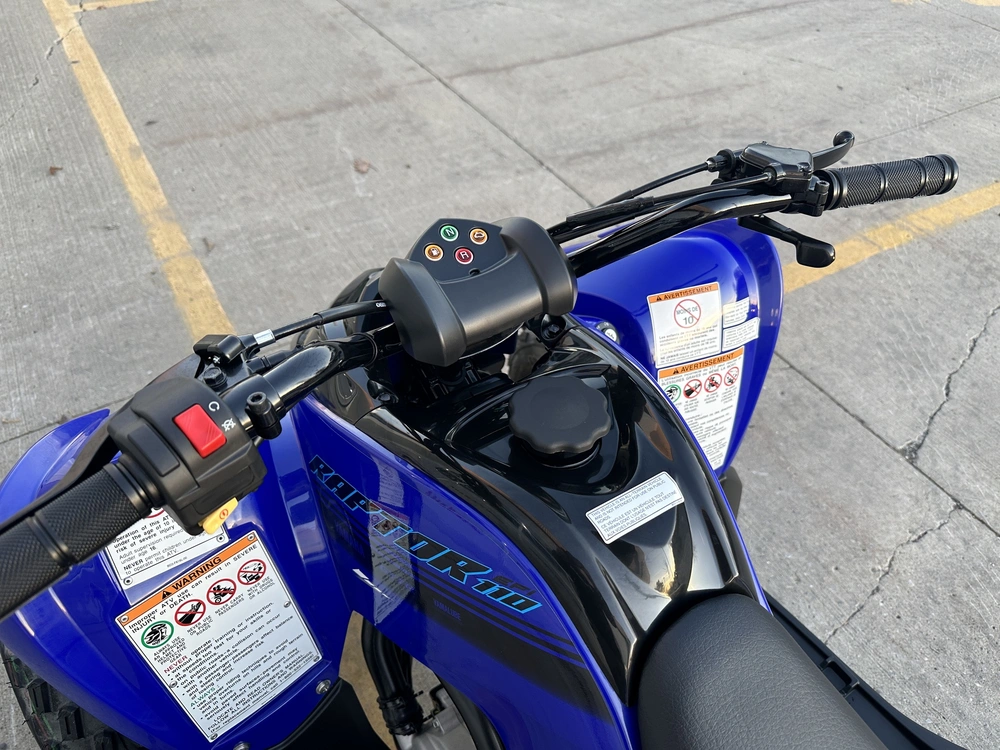 2025 Yamaha Raptor 110 alt