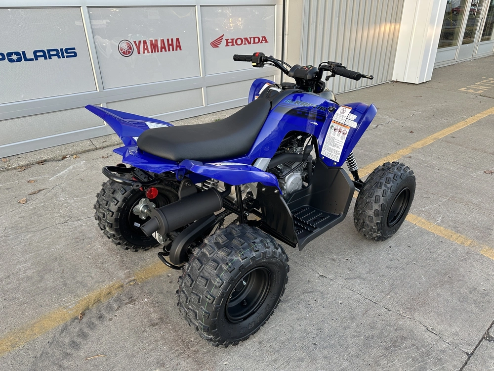 2025 Yamaha Raptor 110 alt