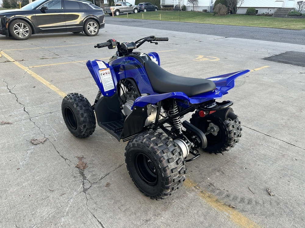 2025 Yamaha Raptor 110 alt