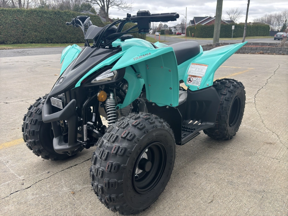 2025 Yamaha Yfz50 alt