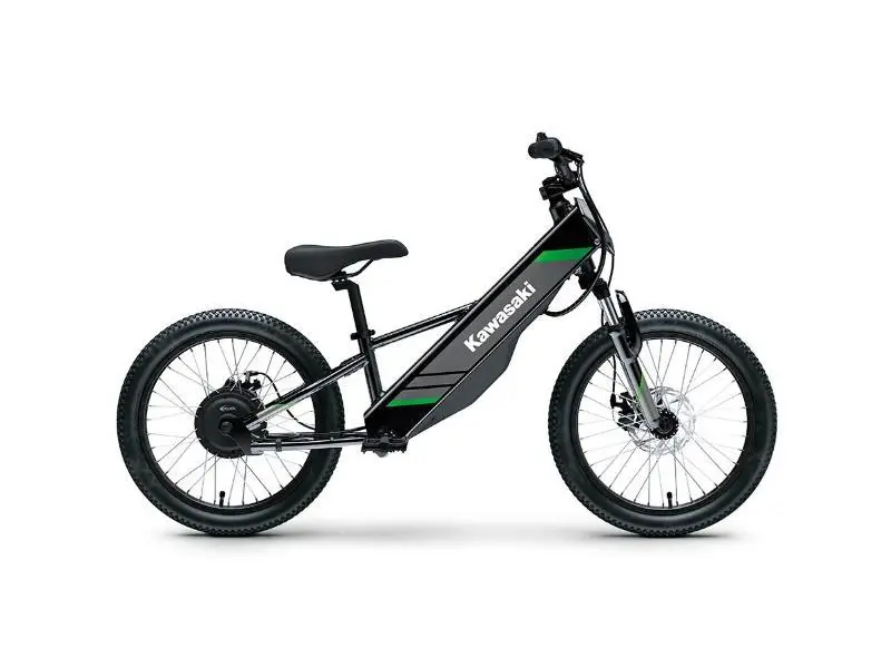 Kawasaki ELEKTRODE 20 2025