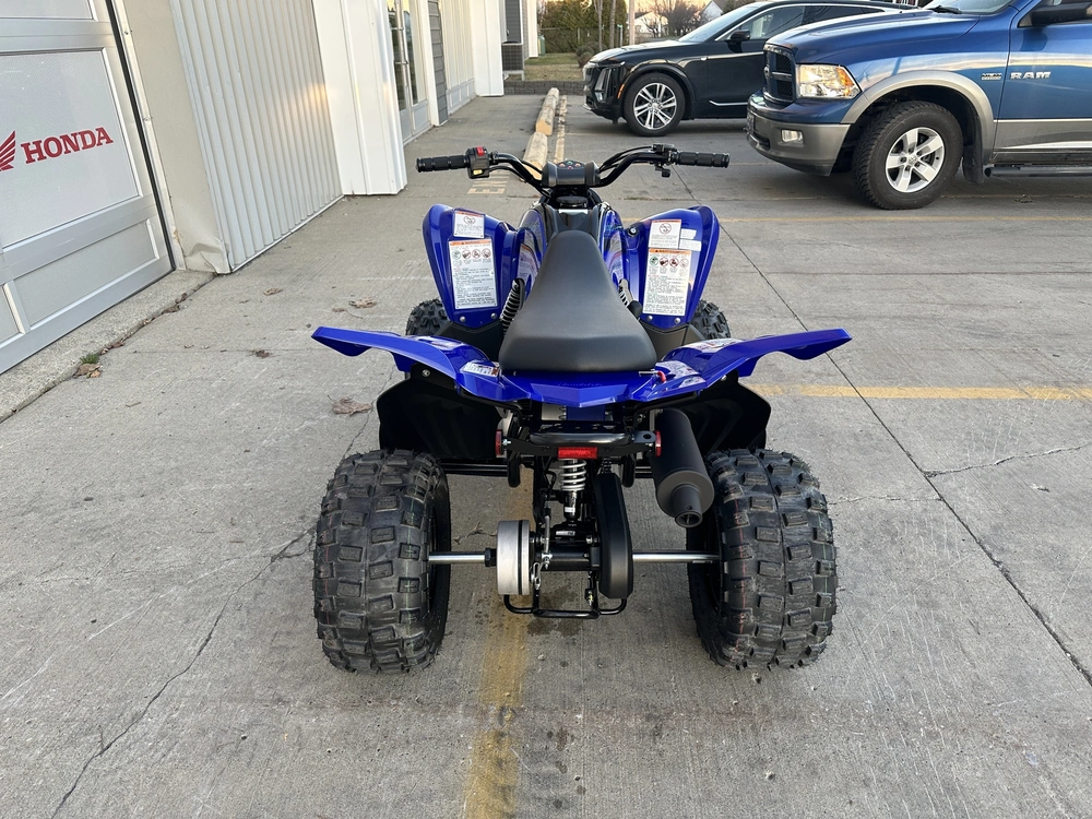 2025 Yamaha Raptor 110 alt