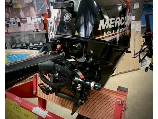 2020 Mercury 15hp Efi Fourstroke alt